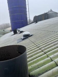 conduits de lumière pour porcherie sur toiture
